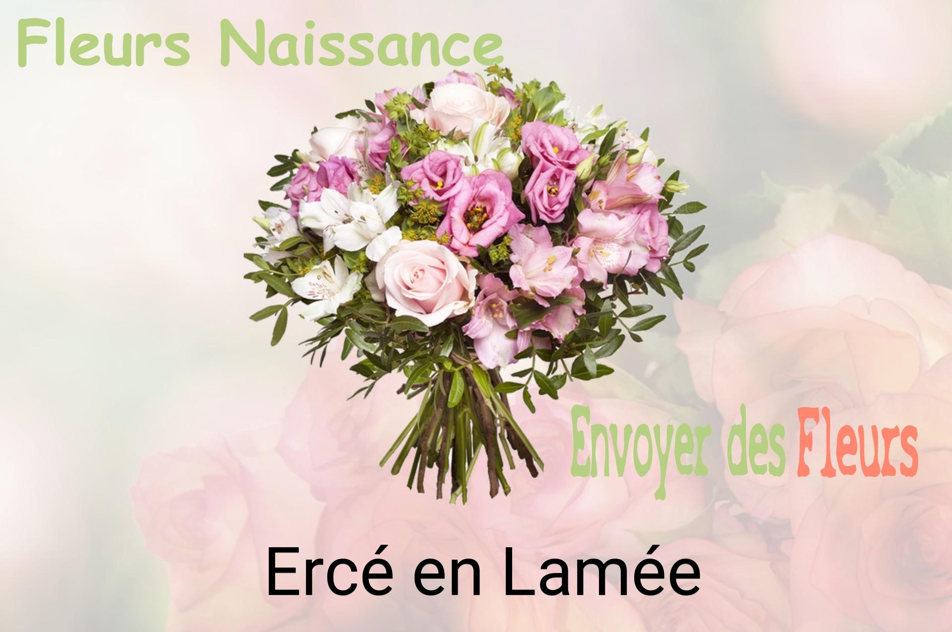 Bouquet de fleurs de naissance livré à Ercé-en-Lamée